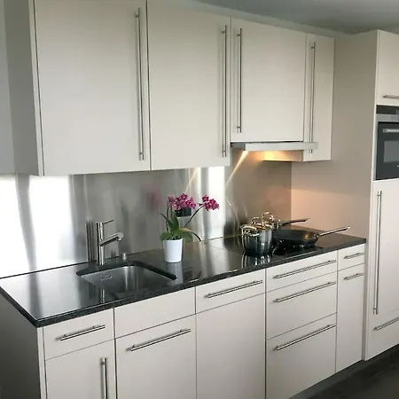 Modern Little Gem Close To Thun Reutigen