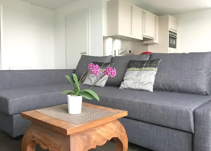 Apartman Modern Little Gem Close To Thun